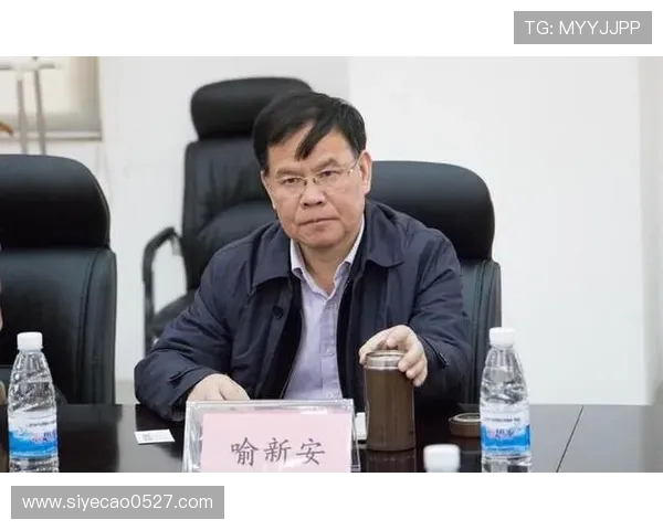 成都足球队转型之路探索新机遇与挑战的全面分析与展望