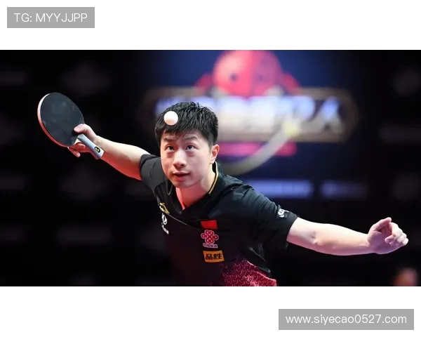 杭州乒乓球队个人能力深度对比分析揭示潜力与挑战