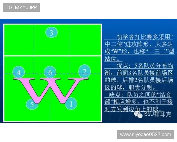 深圳排球队整体压制战术解析与应用探讨