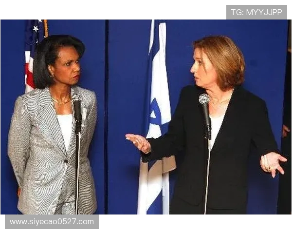 赖斯的外交智慧与全球影响力分析:重塑国际关系的新视角