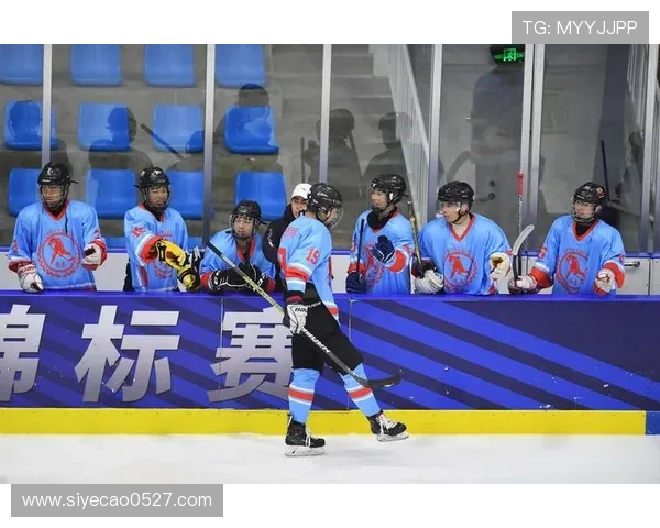 重庆极限运动队团队协作的深度剖析与对比研究