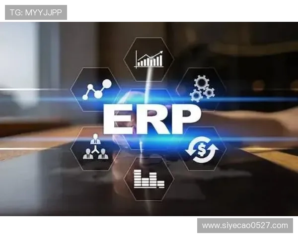 上海排球队的转型之路与未来发展趋势深度解析