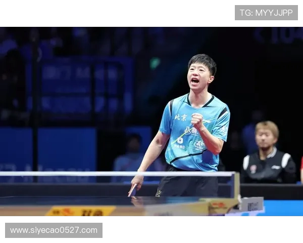 乒乓球专题：深入探讨北京乒乓球队灵活性训练与战术创新的成功之道